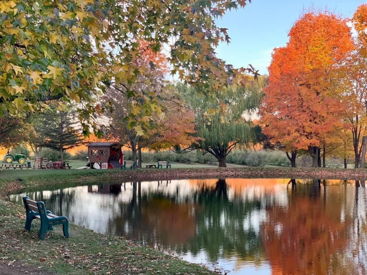 The Cortland Cottage At Brant'S Apple Orchard Ащабюла Екстериор снимка